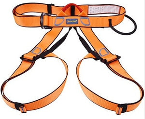 Pro Rock Climbing Half Body Safety Harness - 4 Variants